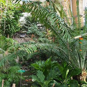 View in the Winter Garden, 2022-03-16