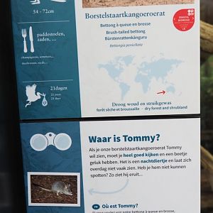 Western woylie signage, 2022-03-16