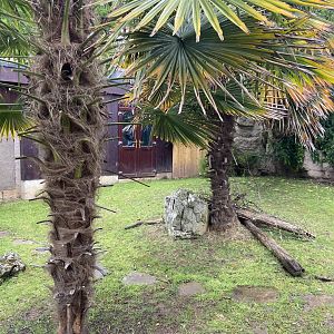 Bristol Zoo tortoise enclosure