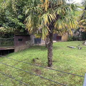 Bristol Zoo tortoise enclosure