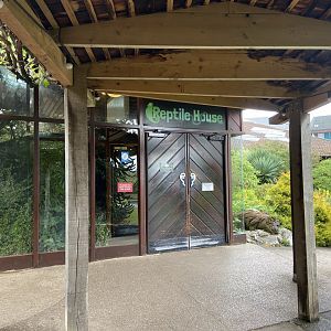 Bristol Zoo reptile house