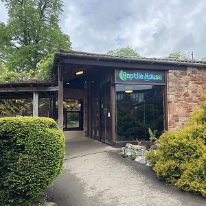 Bristol Zoo reptile house