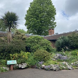Bristol Zoo reptile house