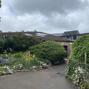 Bristol Zoo reptile house