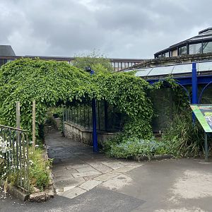Bristol Zoo aquarium