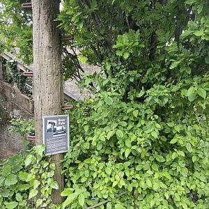 Bristol Zoo bear pole