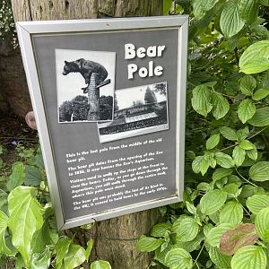 Bristol Zoo bear pole