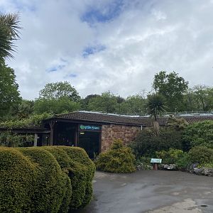 Bristol Zoo reptile house