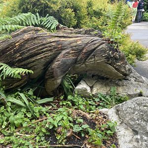 Bristol Zoo reptile house