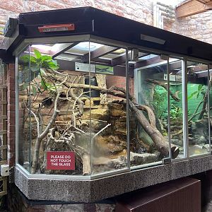 Bristol Zoo reptile house