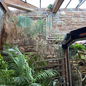 Bristol Zoo reptile house