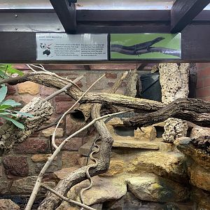Bristol Zoo reptile house