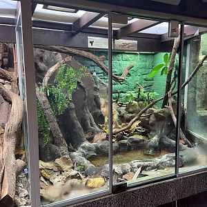 Bristol Zoo reptile house
