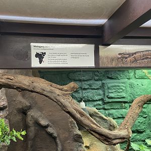 Bristol Zoo reptile house