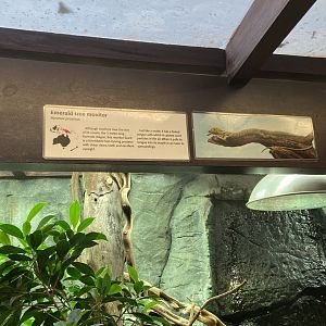 Bristol Zoo reptile house