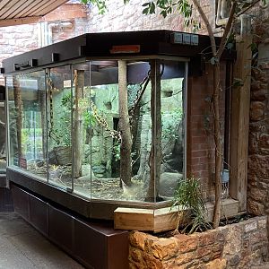 Bristol Zoo reptile house
