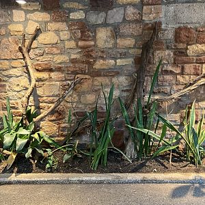 Bristol Zoo reptile house