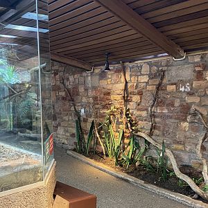 Bristol Zoo reptile house