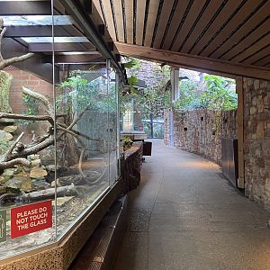 Bristol Zoo reptile house