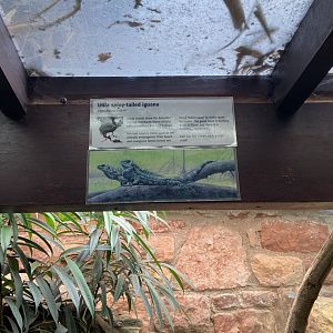 Bristol Zoo reptile house