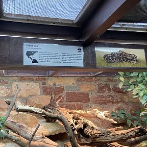 Bristol Zoo reptile house