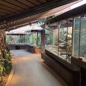 Bristol Zoo reptile house