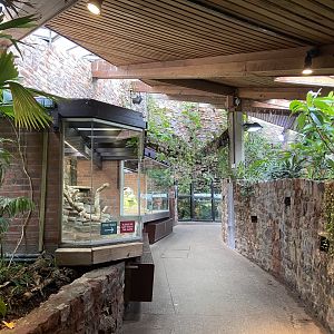 Bristol Zoo reptile house