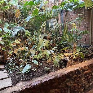 Bristol Zoo reptile house