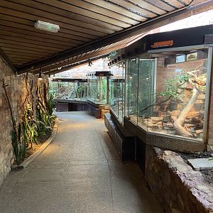 Bristol Zoo reptile house