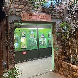 Bristol Zoo reptile house
