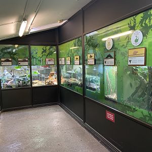 Bristol Zoo reptile house