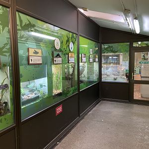 Bristol Zoo reptile house