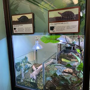 Bristol Zoo reptile house