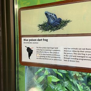 Bristol Zoo reptile house