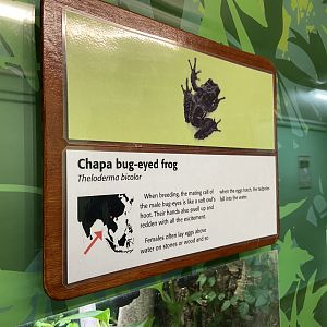 Bristol Zoo reptile house