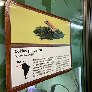 Bristol Zoo reptile house