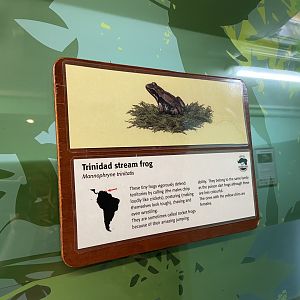 Bristol Zoo reptile house