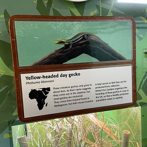 Bristol Zoo reptile house