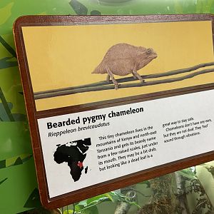 Bristol Zoo reptile house