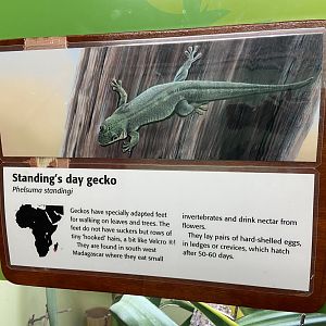 Bristol Zoo reptile house