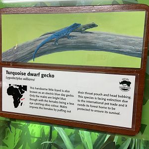 Bristol Zoo reptile house