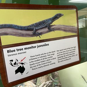 Bristol Zoo reptile house