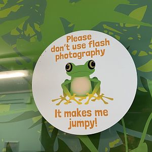 Bristol Zoo reptile house