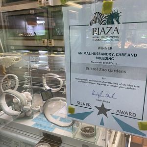 Bristol Zoo reptile house