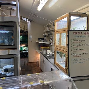 Bristol Zoo reptile house