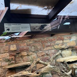 Bristol Zoo reptile house