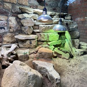 Bristol Zoo reptile house