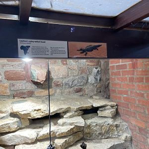 Bristol Zoo reptile house