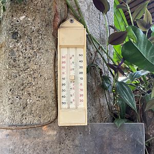 Bristol Zoo reptile house