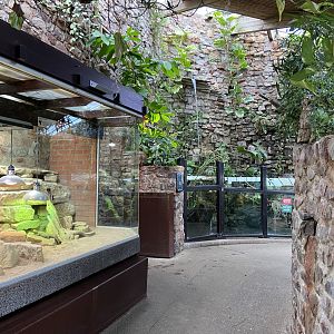 Bristol Zoo reptile house